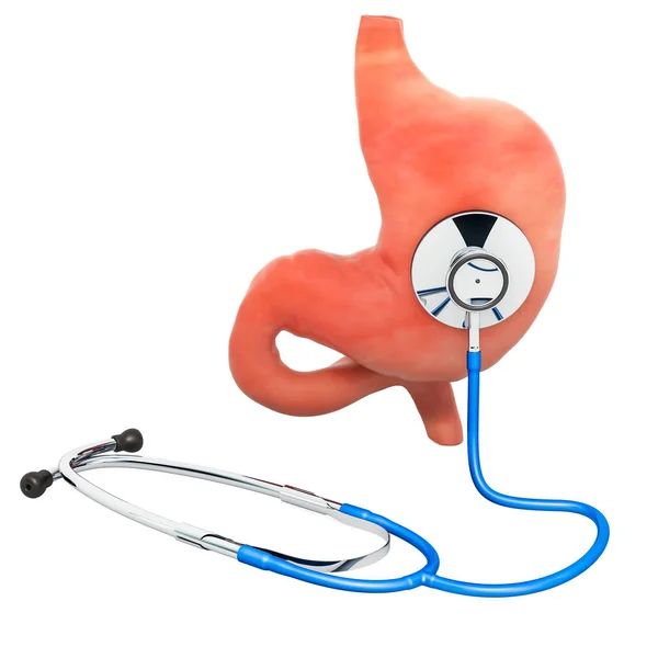 Human stomach with stethoscope. Diagnosis and treatment of stomach concept, 3D rendering