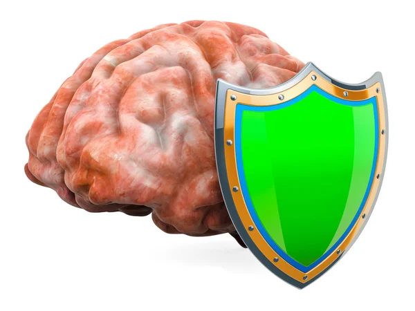 Cérebro Humano Com Escudo Cérebro Proteger Conceito Renderização Isolada Fundo — Fotografia de Stock
