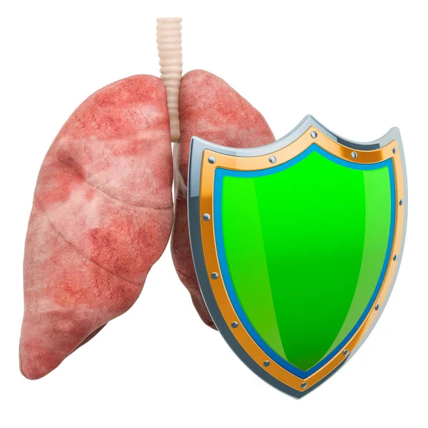 Los Pulmones Humanos Con Escudo Los Pulmones Protegen Concepto Representación — Foto de Stock