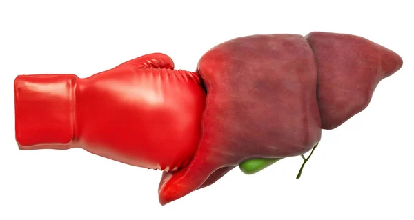 Pain in liver, liver disease concept. Human liver with boxing glove. 3D rendering isolated on white background