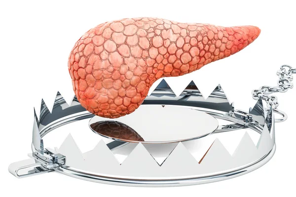 Заболевание Щитовидной Железы Человеческая Щитовидка Внутри Медвежьей Ловушки Рендеринг Изолирован — стоковое фото