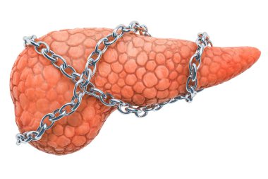 Pancreatic disease concept. Human pancreas with chain. 3D rendering isolated on white background clipart