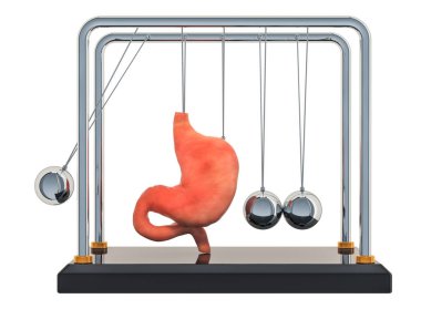 Ağrısı mide, mide hastalığı kavramı. Newton'un beşiği mide ile. Beyaz arka plan üzerinde izole 3d render