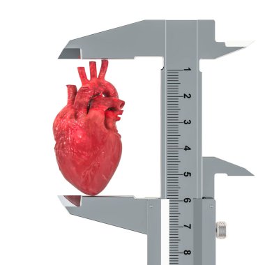 Vernier kumpas ile insan kalbi. Araştırma ve kalp kavramı, 3d render beyaz arka plan üzerinde izole tanısında