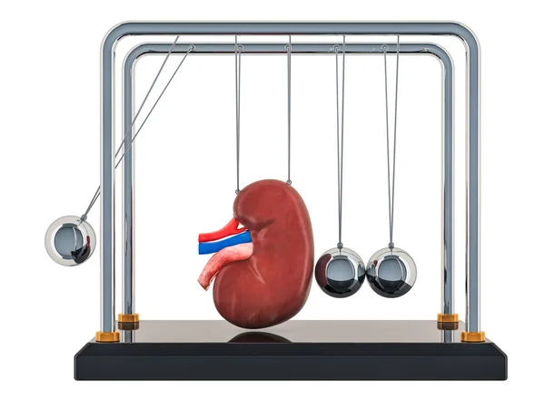 Chronic kidney disease concept. Newton\'s cradle with kidney. 3D rendering isolated on white background