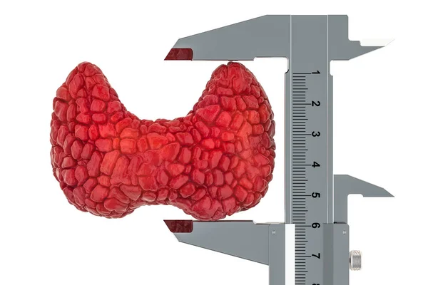 Menneskelig Skjoldbruskkirtel Med Vernier Kaliber Forskning Diagnose Skjoldbruskkirtlen Koncept Rendering - Stock-foto