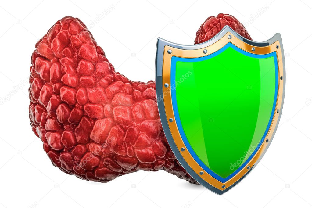 Human thyroid with shield, protect concept. 3D rendering isolated on white background