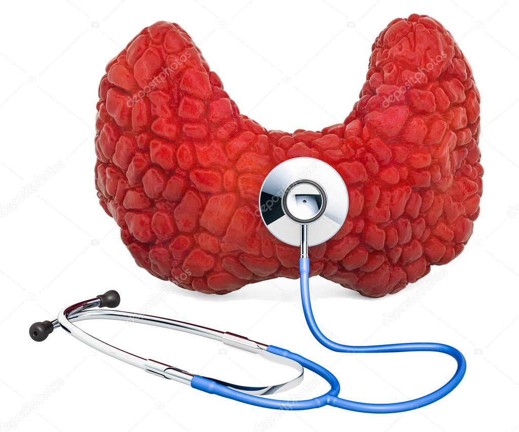 Human thyroid with stethoscope. Research and diagnosis of thyroid gland concept, 3D rendering isolated on white background