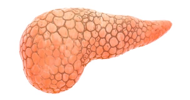 Doença Espalhou Pâncreas Animação Renderização Isolada Fundo Branco — Vídeo de Stock
