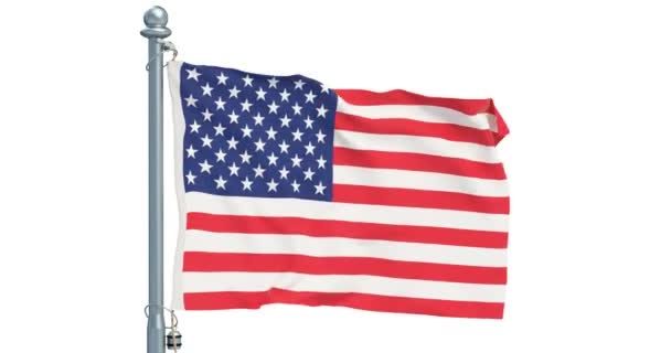 United States Flag Waving White Background Animation Rendering — Stock Video