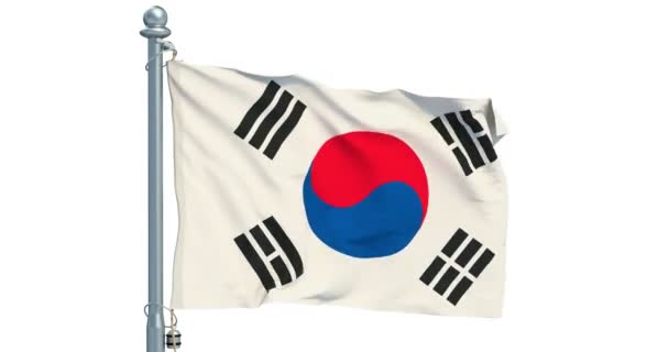 韓国は 白い背景のアニメーションに手を振るします レンダリング — ストック動画
