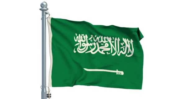 沙特阿拉伯国旗在白色背景上飘扬 — 图库视频影像