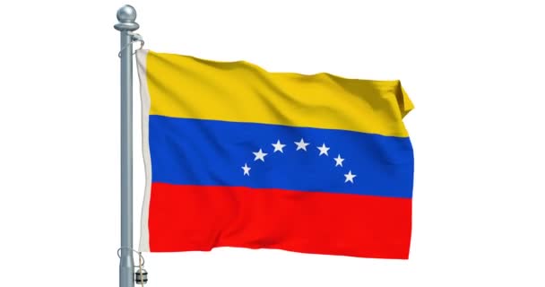 委内瑞拉国旗挥舞着白色的背景 — 图库视频影像