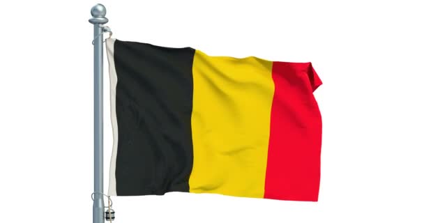 Bandera Belga Ondeando Sobre Fondo Blanco Animación Renderizado — Vídeo de stock