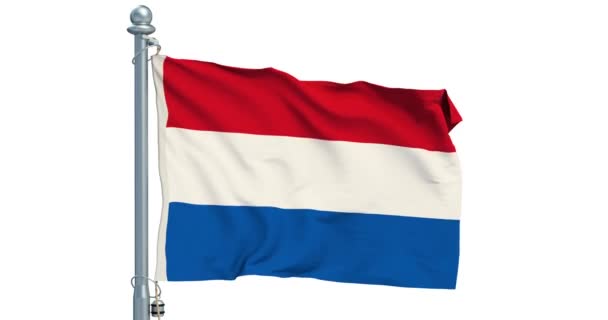 Bandera Holanda Ondeando Sobre Fondo Blanco Animación Renderizado — Vídeos de Stock