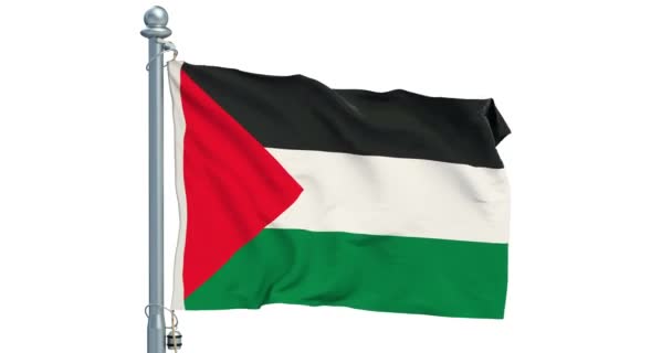 Palästinensische Flagge Weht Auf Weißem Hintergrund Animation Darstellung — Stockvideo