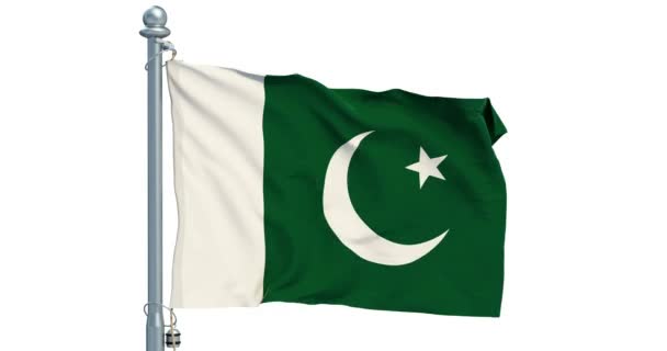 Pakistani Flag Waving White Background Animation Rendering — Stock Video