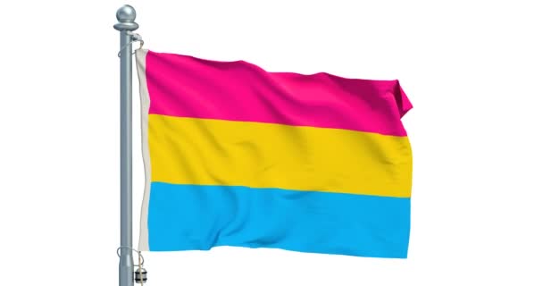Bandera Del Orgullo Pansexual Ondeando Sobre Fondo Blanco Animación Renderizado — Vídeos de Stock