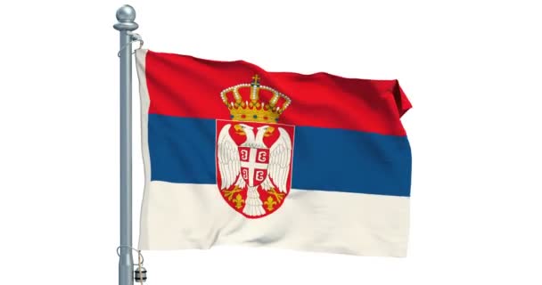 Bandera Serbia Ondeando Sobre Fondo Blanco Animación Renderizado — Vídeo de stock