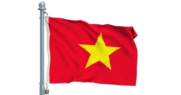 Bandera Vietnamita Ondeando Sobre Fondo Blanco Animación Renderizado — Vídeo de stock