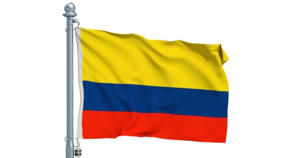 哥伦比亚国旗在白色的背景上飘扬 — 图库视频影像