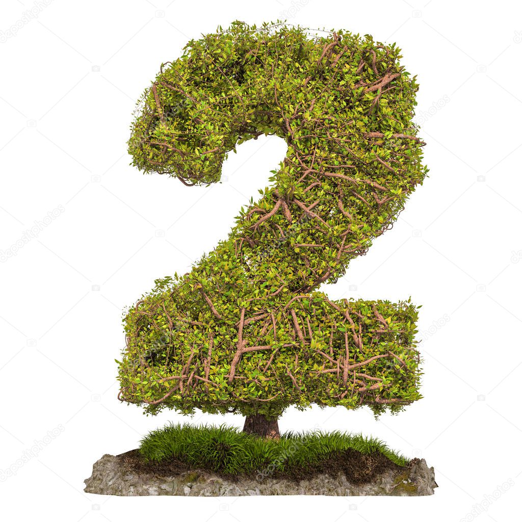 Tree Number 2. Tree in shaped of number 2, 3D rendering isolated on white background