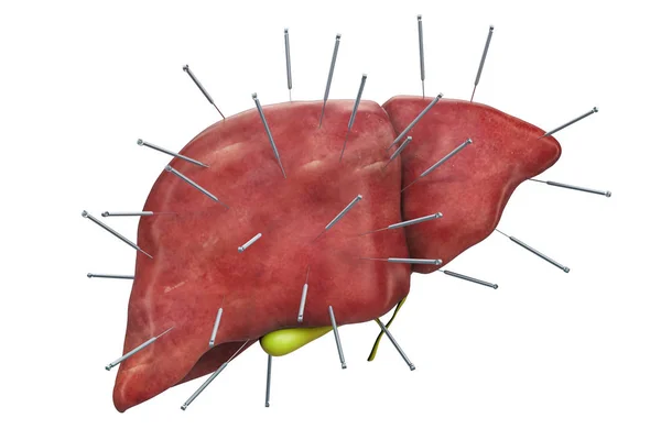 바늘과 간입니다 렌더링 배경에 고립의 — 스톡 사진