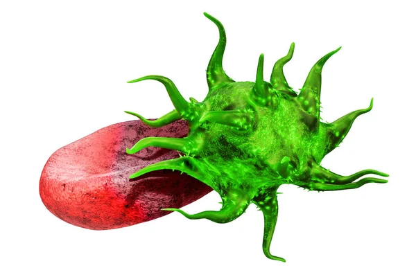 Virus et cellules sanguines, rendu 3D — Photo