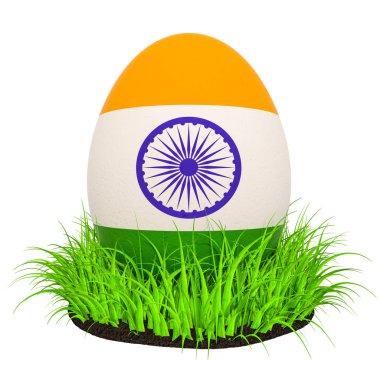 Yeşil çim Hindistan bayrağı ile Paskalya yumurtası, 3d render