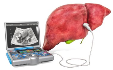 Liver Ultrasound concept. Human liver and gallbladder with medic clipart