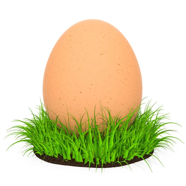 緑の草の中の卵、3Dレンダリング — ストック写真