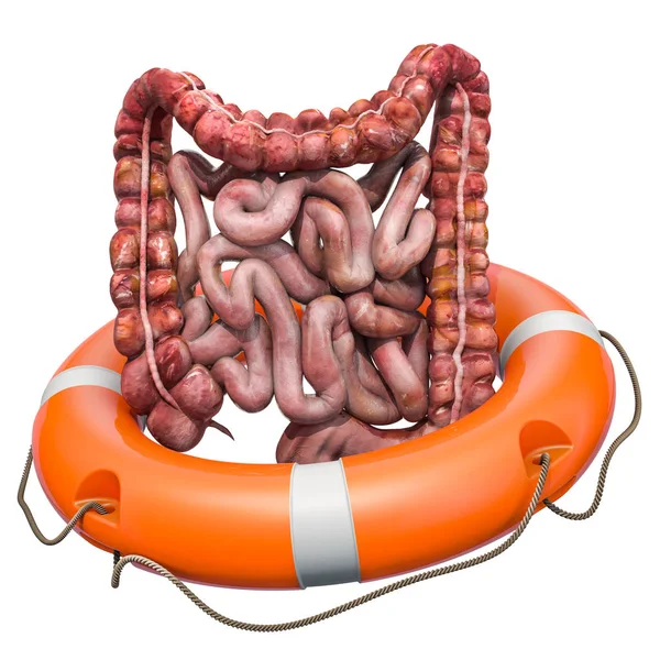 Menselijke darmen met lifebelt, bescherming concept. 3D-rendering — Stockfoto