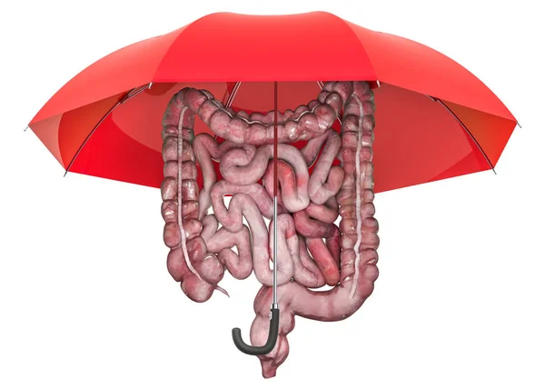 Intestinos humanos bajo paraguas, concepto de protección — Foto de Stock