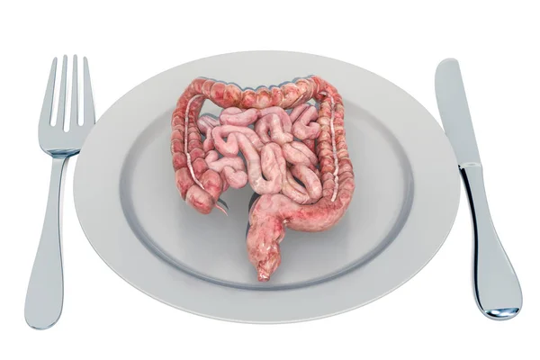 Régime alimentaire pour un système digestif sain et le tractus gastro-intestinal — Photo