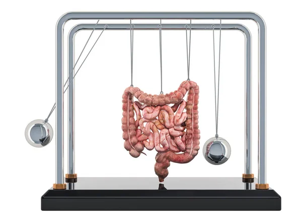Concept de douleur abdominale. Le berceau de Newton avec l'intestin. rendu 3D — Photo