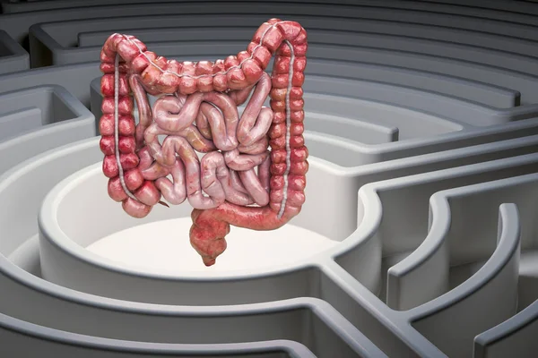 迷路迷路の人間の腸、3Dレンダリング — ストック写真