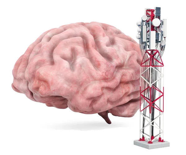 Эффект мобильной башни на человеческий мозг. 3D рендеринг — стоковое фото