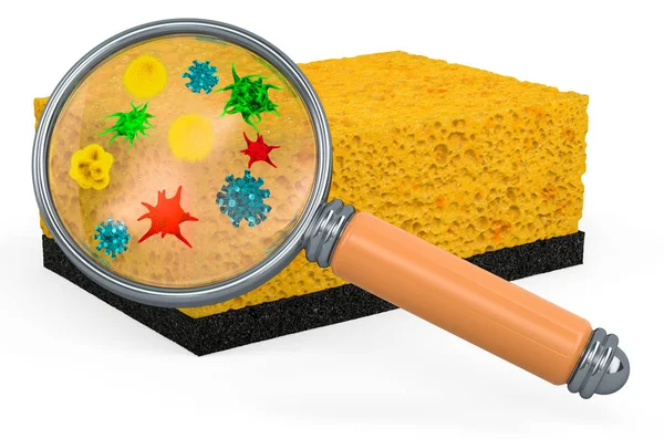 Büyüteç altında mikrop ve bakteri ile sünger — Stok fotoğraf
