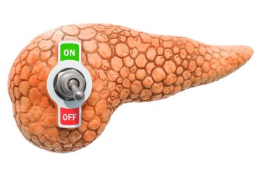 Pancreatic pain. Pancreas with toggle switch. 3D rendering clipart