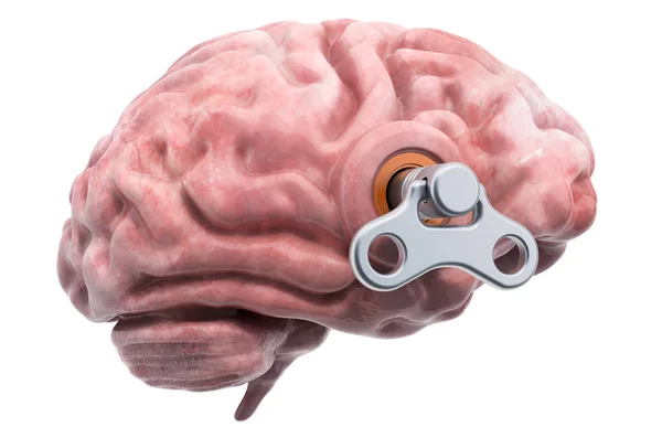 Human brain with wind-up key. Treatment and recovery concept — Stock Photo, Image