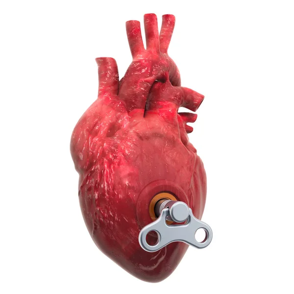 Corazón humano con llave enrollable. Concepto de tratamiento y recuperación —  Fotos de Stock