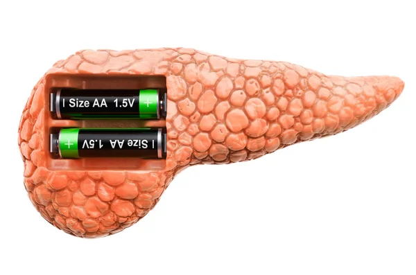 Pâncreas humano com baterias. Conceito de recuperação e tratamento — Fotografia de Stock