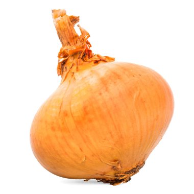 Gerçekçi doku ile soğan meyve yakın çekim 3d render