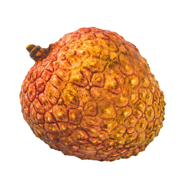 Buah lychee close-up 3d rendering dengan tekstur realistis — Stok Foto