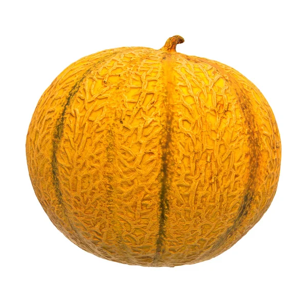Charentais melon close-up 3d rendering dengan tekstur realistis — Stok Foto