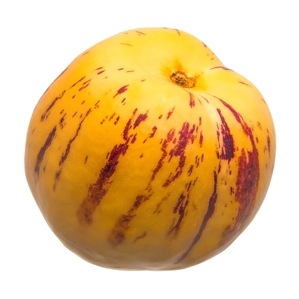 Pepino oder süße Gurke in Nahaufnahme 3D-Rendering — Stockfoto