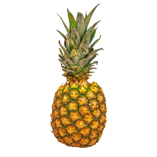 Gerçekçi doku ile ananas yakın çekim 3d render — Stok fotoğraf