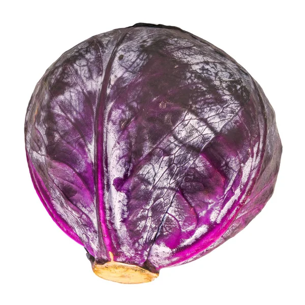 リアルな質感を持つ紫色のキャベツクローズアップ3Dレンダリング — ストック写真