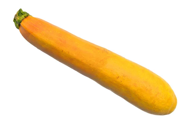 Gyllene zucchini närbild 3D rendering — Stockfoto