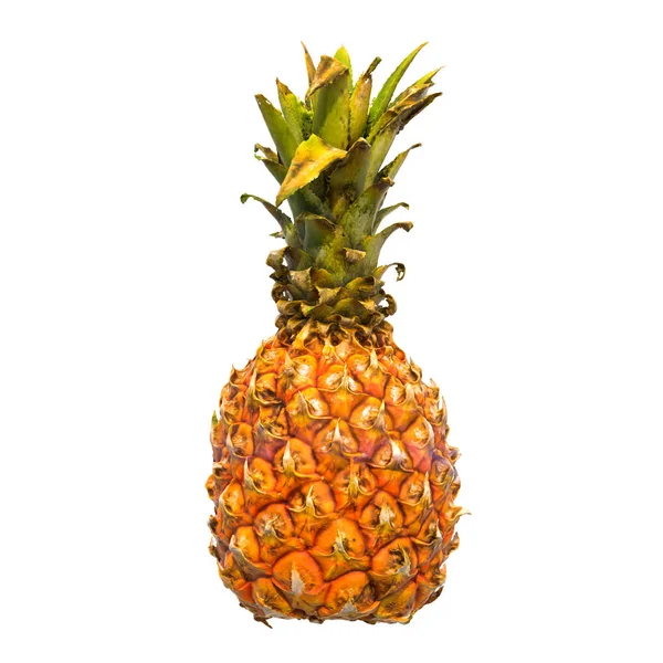 Gerçekçi doku ile Mini ananas yakın çekim 3d render — Stok fotoğraf